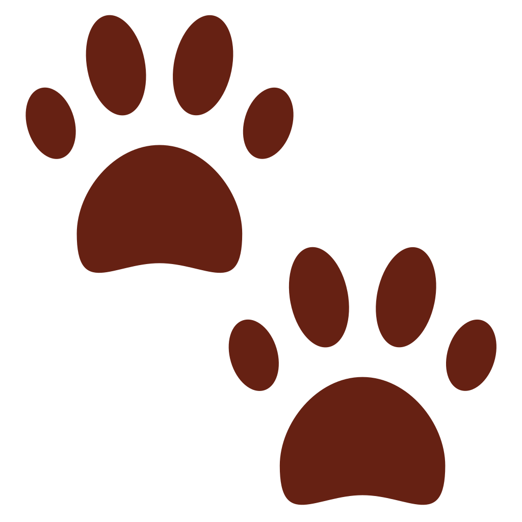 🐾 Paw Prints Emoji Meaning